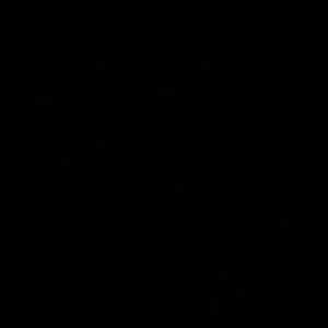 Meet your Posher, Reagan (me)